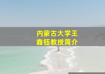 内蒙古大学王鑫钰教授简介