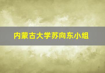 内蒙古大学苏向东小组