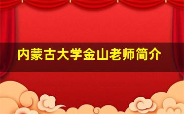 内蒙古大学金山老师简介