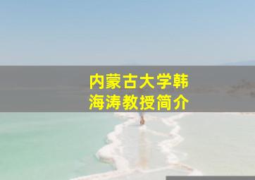 内蒙古大学韩海涛教授简介