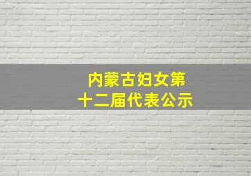 内蒙古妇女第十二届代表公示