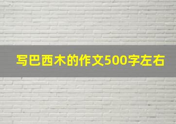 写巴西木的作文500字左右