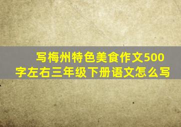 写梅州特色美食作文500字左右三年级下册语文怎么写