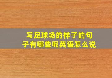 写足球场的样子的句子有哪些呢英语怎么说