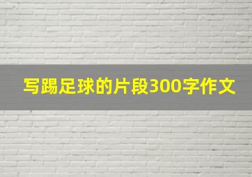 写踢足球的片段300字作文