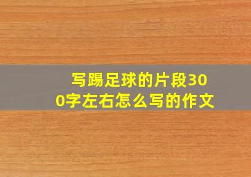 写踢足球的片段300字左右怎么写的作文