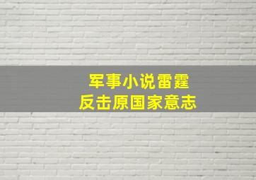 军事小说雷霆反击原国家意志