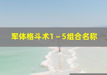 军体格斗术1～5组合名称