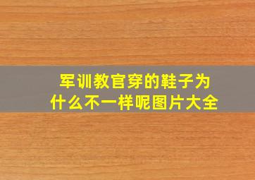 军训教官穿的鞋子为什么不一样呢图片大全