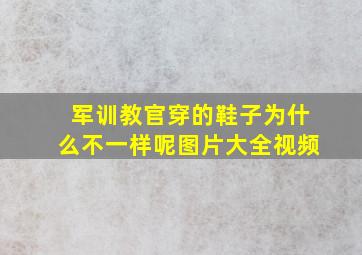 军训教官穿的鞋子为什么不一样呢图片大全视频