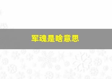 军魂是啥意思