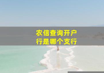 农信查询开户行是哪个支行