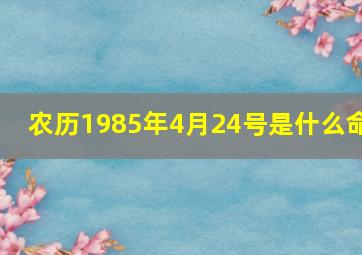 农历1985年4月24号是什么命