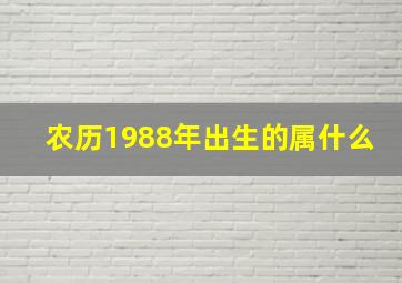 农历1988年出生的属什么