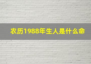 农历1988年生人是什么命