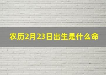 农历2月23日出生是什么命