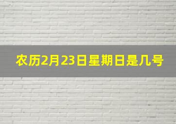 农历2月23日星期日是几号