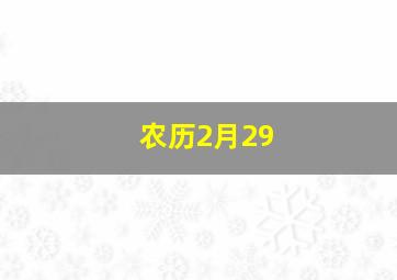 农历2月29