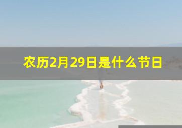 农历2月29日是什么节日