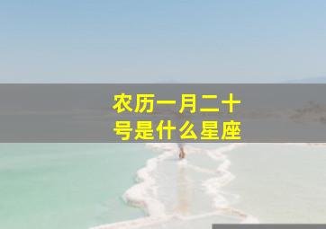 农历一月二十号是什么星座