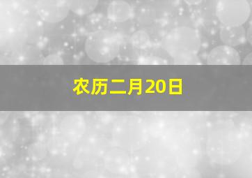 农历二月20日