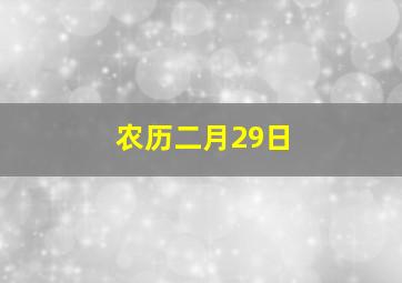 农历二月29日