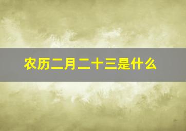 农历二月二十三是什么