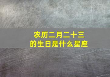 农历二月二十三的生日是什么星座