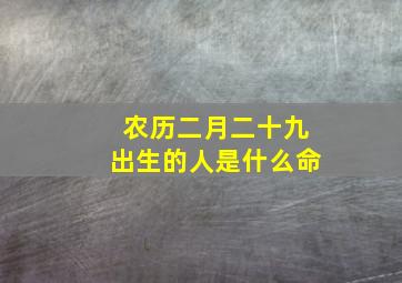 农历二月二十九出生的人是什么命