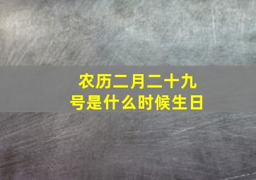 农历二月二十九号是什么时候生日