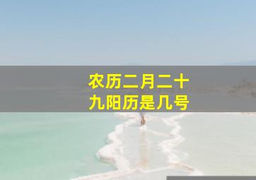 农历二月二十九阳历是几号