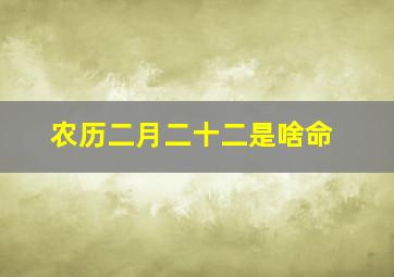 农历二月二十二是啥命