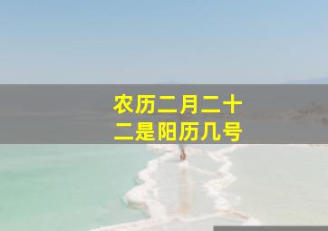 农历二月二十二是阳历几号