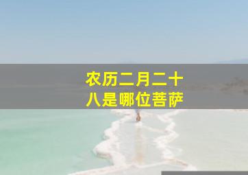 农历二月二十八是哪位菩萨