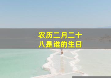 农历二月二十八是谁的生日