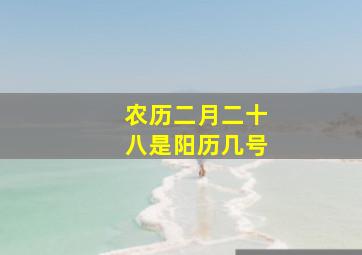 农历二月二十八是阳历几号