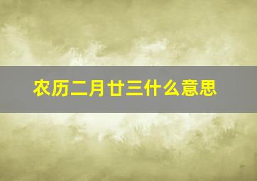 农历二月廿三什么意思