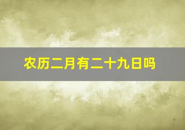 农历二月有二十九日吗