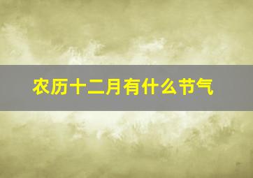 农历十二月有什么节气