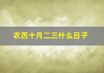 农历十月二三什么日子