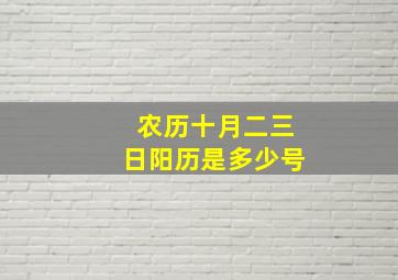 农历十月二三日阳历是多少号