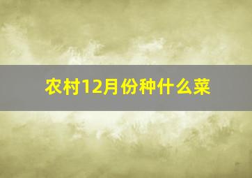 农村12月份种什么菜