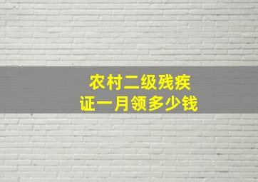 农村二级残疾证一月领多少钱