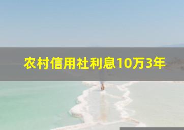 农村信用社利息10万3年