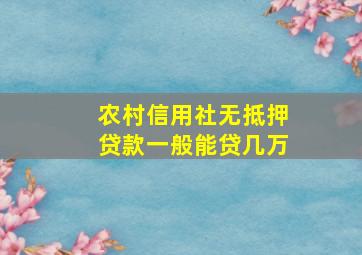 农村信用社无抵押贷款一般能贷几万