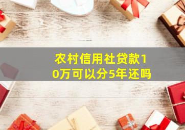 农村信用社贷款10万可以分5年还吗