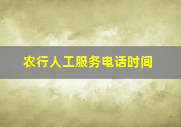 农行人工服务电话时间