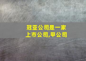 冠亚公司是一家上市公司,甲公司