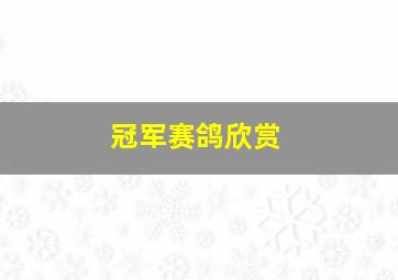 冠军赛鸽欣赏