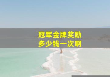 冠军金牌奖励多少钱一次啊